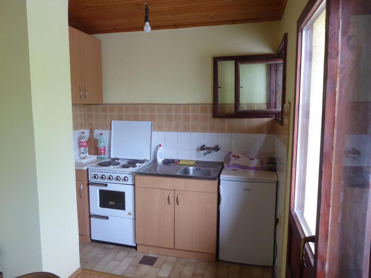 Guest House Pribojska Banja Bagian luar foto