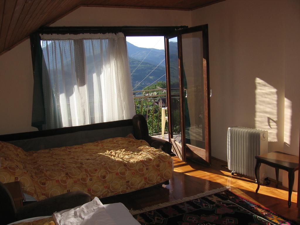 Guest House Pribojska Banja Bagian luar foto
